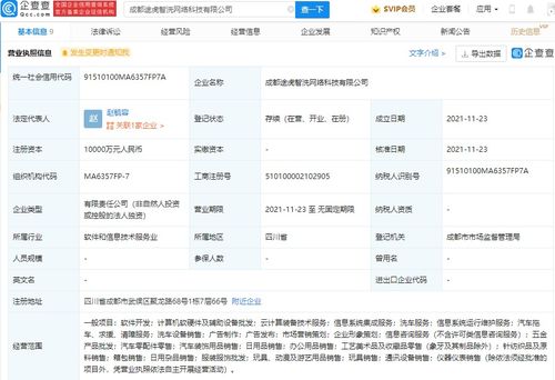 信息系统集成服务 数字化转型的“总设计师”